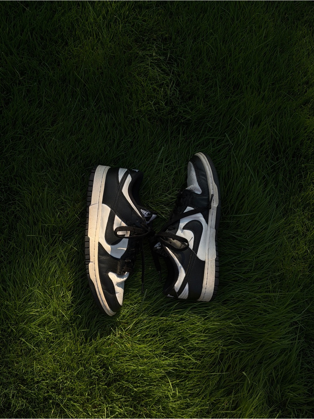 Nike Dunks Low Panda - Women’s